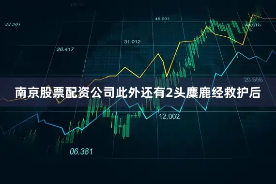 南京股票配资公司此外还有2头麋鹿经救护后