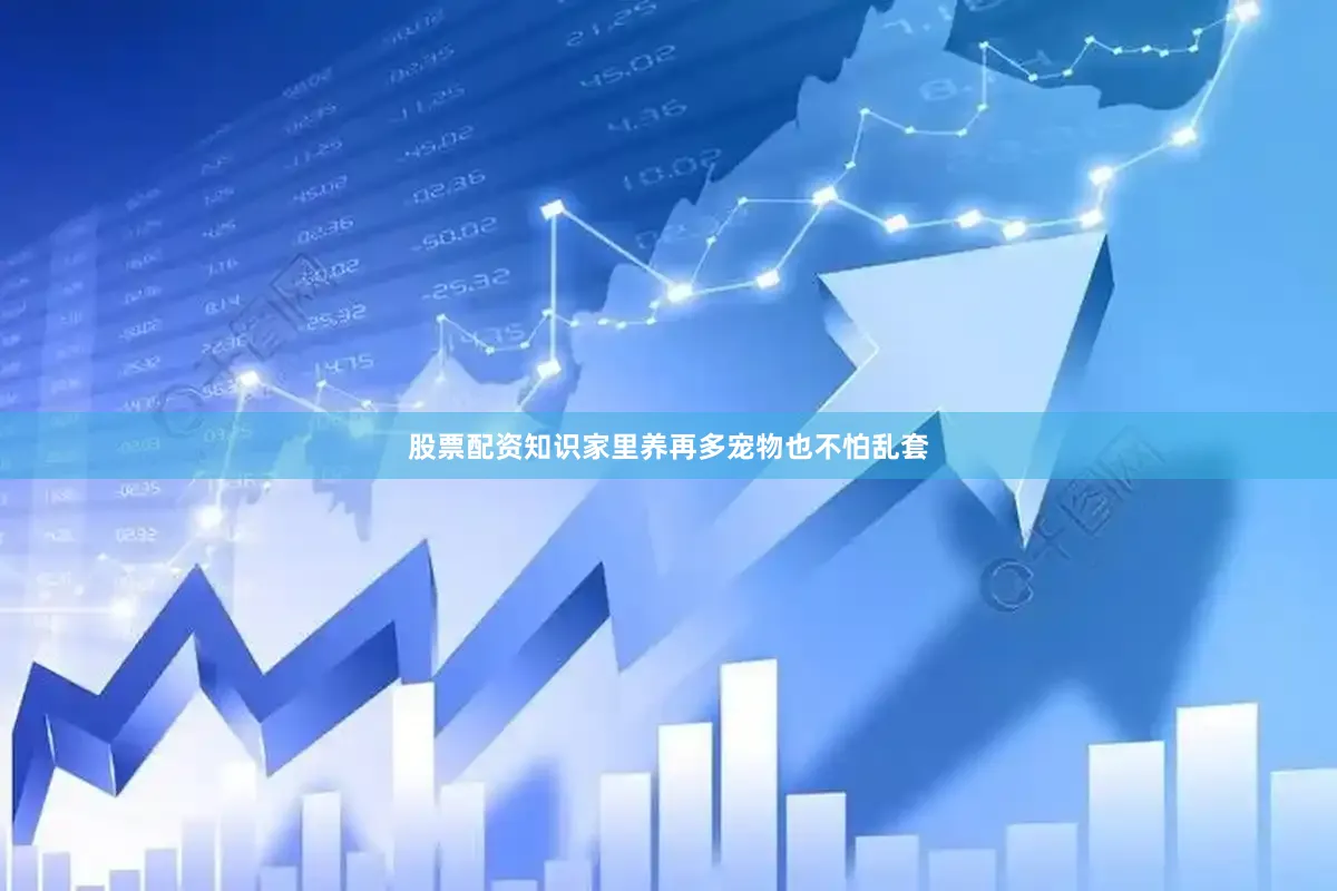 股票配资知识家里养再多宠物也不怕乱套