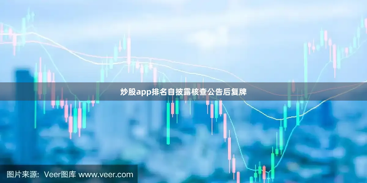 炒股app排名自披露核查公告后复牌