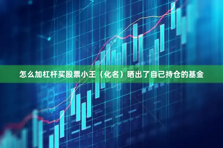 怎么加杠杆买股票小王（化名）晒出了自己持仓的基金