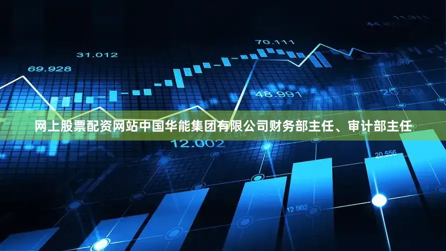 网上股票配资网站中国华能集团有限公司财务部主任、审计部主任