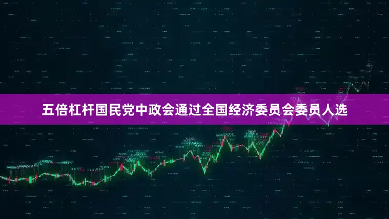 五倍杠杆国民党中政会通过全国经济委员会委员人选